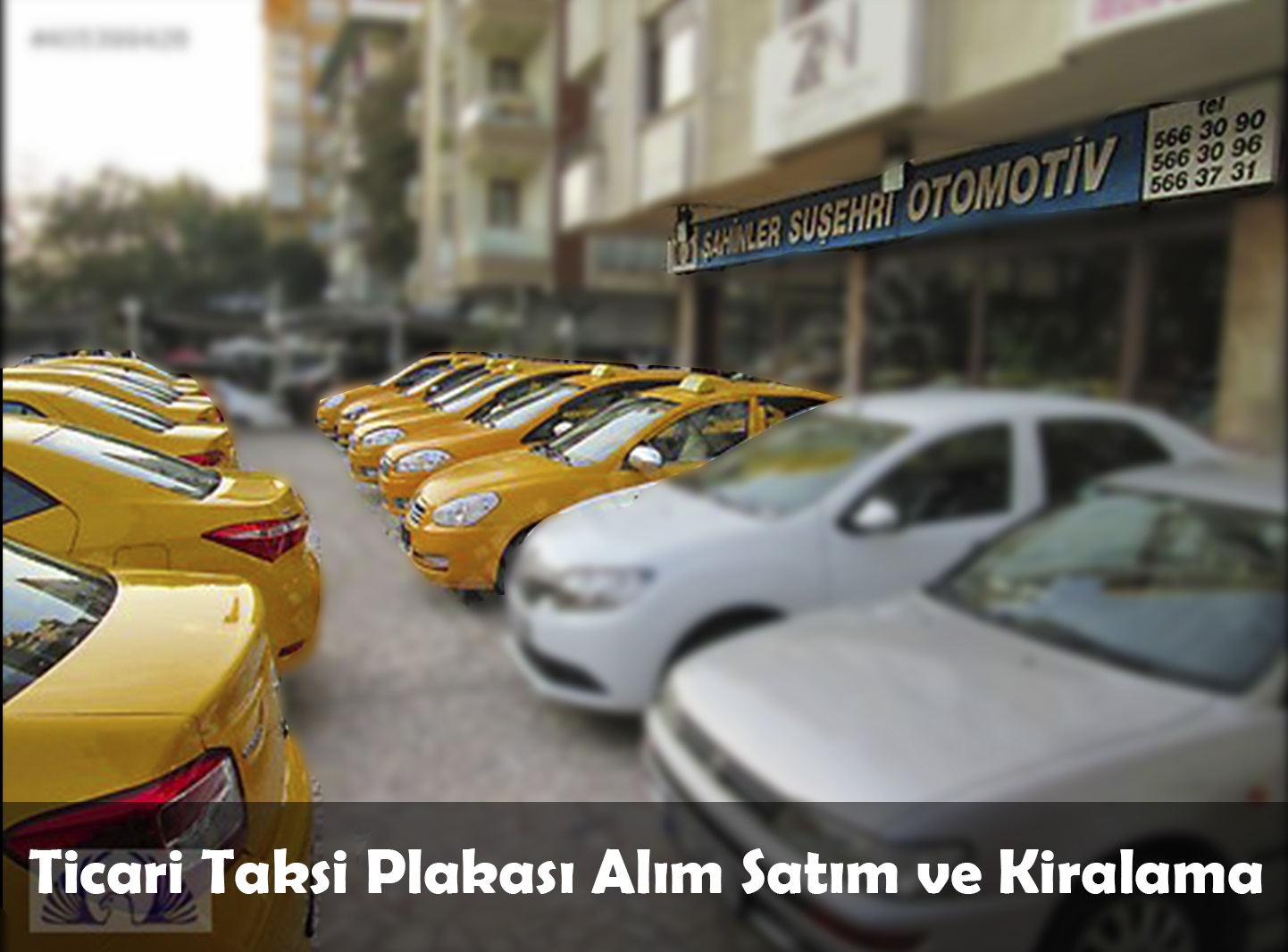 Taksicilik ve Şahinler Suşehri Ticari Taksi